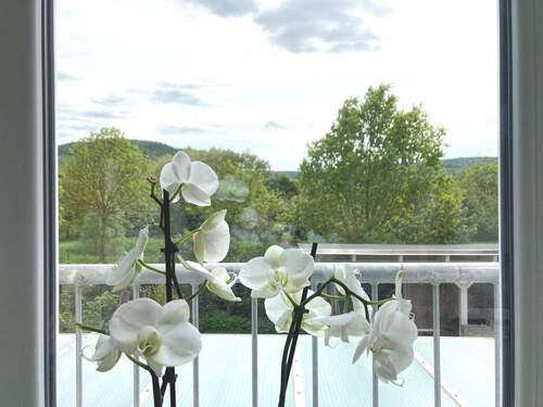 Weitblick - 