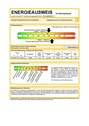 Energieausweis - 
