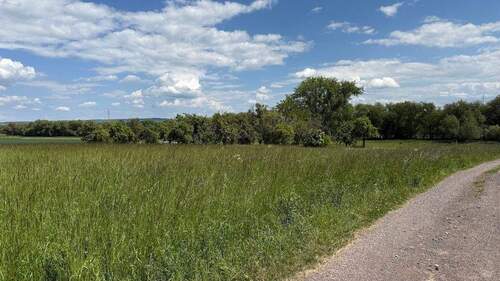 2025-05-26 12.57.43 - 