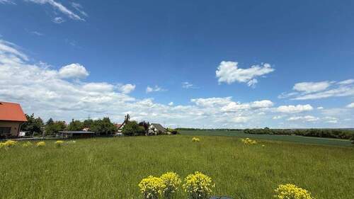 2025-05-26 13.02.23 - 