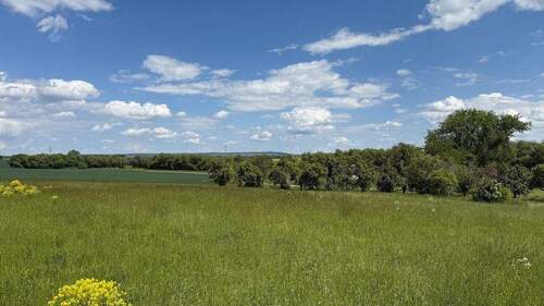 2025-05-26 13.02.30 - 