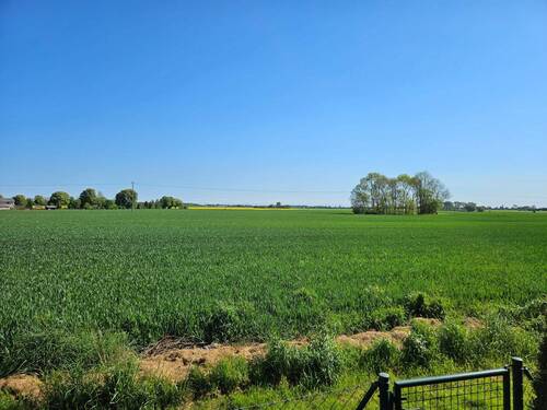 Richtung Anklam.jpg - 