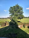 Bild 7 - 