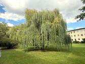 Innenhof - 