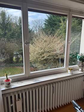 bfe0b445-a113-4e8e-8c74-4461fe109674.jpeg - 