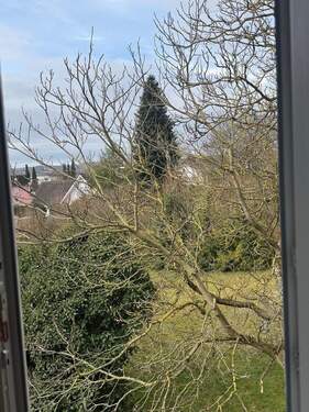 a2bbbaec-4d9f-4ff8-b01d-a44ae56c74d1.jpeg - 