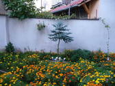 Bild 14 - 