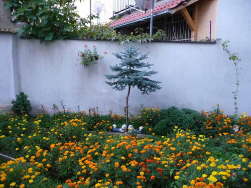 Bild 14 - 