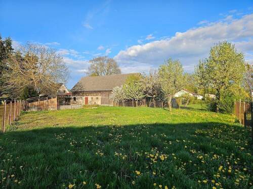 Wiese am Haus.jpg - 