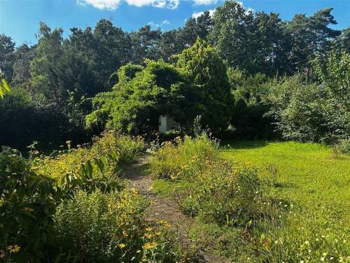 IMG_3463 - Grundstück in Schulzendorf