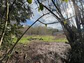 Ansicht - Grundstück zum Kaufen in Balve