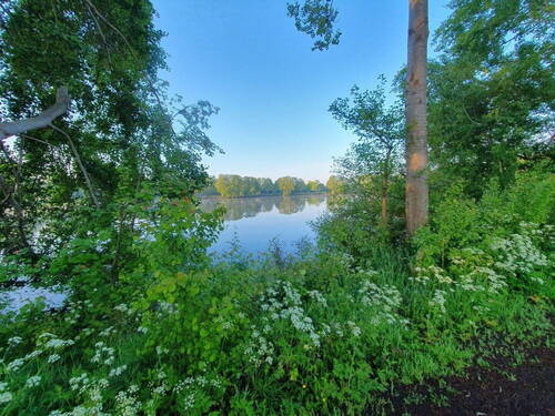 Bild 21 - 