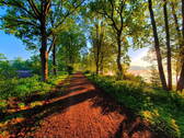 Bild 22 - 