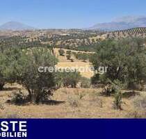 Großzügiges 4120 m² Grundstück im idyllischen Sivas, Kreta - Perfekt für Traumhaus oder Feriendomizil - Kalamaki