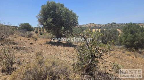 Aussenansicht - Grundstück in Kalamaki zum Kaufen