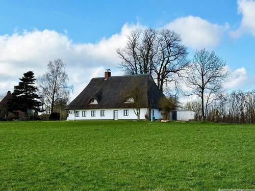 Hausansicht - Erstbezug: Reetdachhaus am Kanal