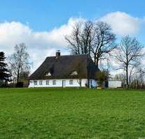 Erstbezug: Reetdachhaus am Kanal - Klein Königsförde