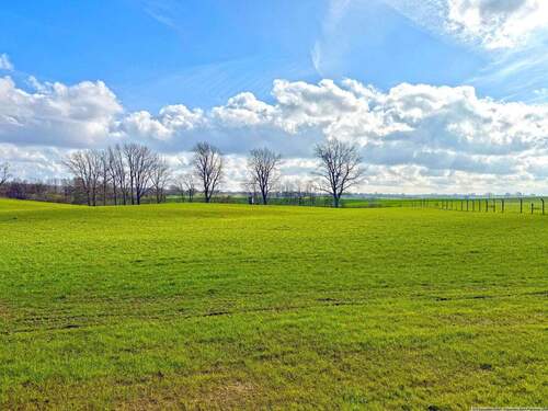 Ausblick Terrasse - 4 Zimmer Einfamilienhaus zur Miete in Klein Königsförde