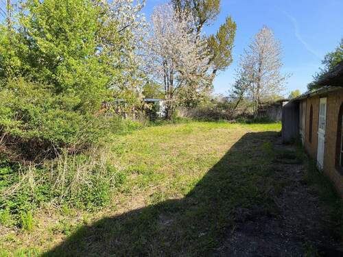 Garten - Grundstück in Hemme zum Kaufen