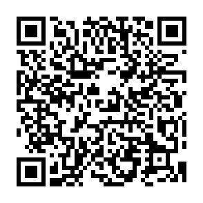 QR-Code - 