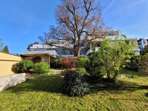 Gemeinschaftsgarten - 