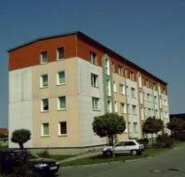 Frisch renovierte 3 Zimmer Wohnung in schöner Lage - Gramzow