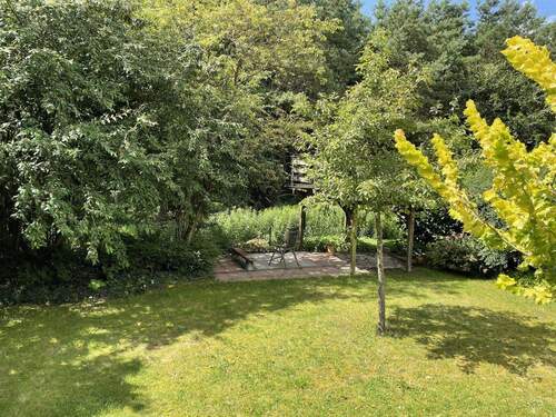 Blick in den Garten - 