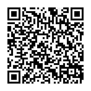 QR-Code - 