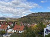Blick zum Jenzig - 