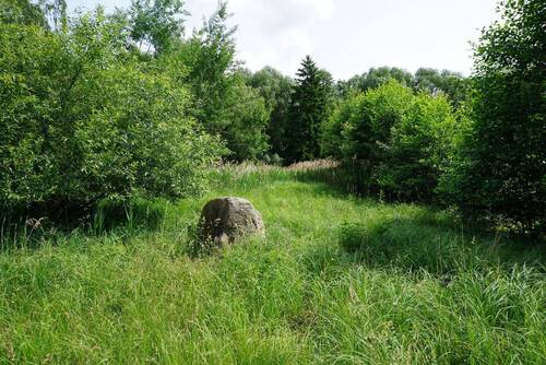 Bollensen_Teichgelände_VK_009.jpg - 