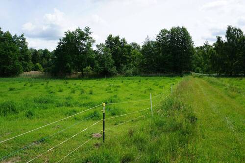 Bollensen_Teichgelände_VK_015.jpg - 
