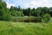 Bollensen_Teichgelände_VK_002.jpg - 2 Teichgrundstücke 36.524 m² mit Grünland-, Wald- und Gehölzflächen in 29559 Wrestedt OT Bollensen , kein Bauland !