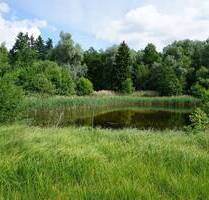 2 Teichgrundstücke 36.524 m² mit Grünland-, Wald- und Gehölzflächen in 29559 Wrestedt OT Bollensen , kein Bauland !