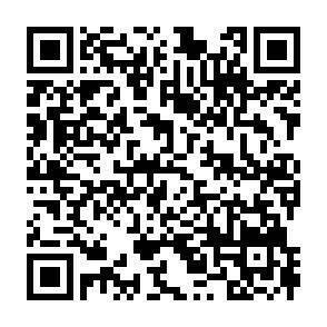 QR-Code - 