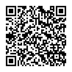QR-Code - 