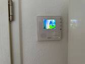 IMG_8877 - 
