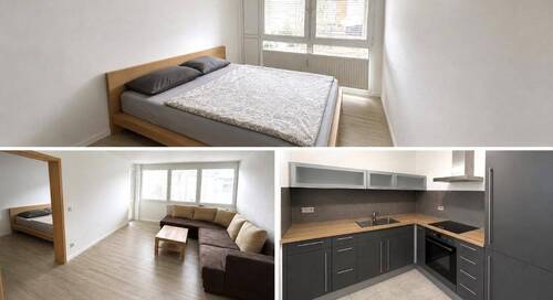 Ansicht Schlafen/Wohnen/Kochen - 2 Zimmer Etagenwohnung in Fürth