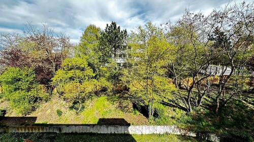 Blick ins Grüne - 