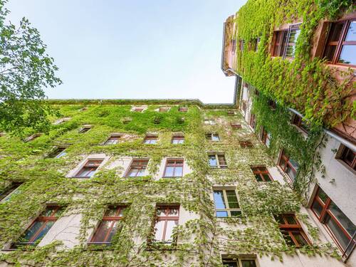 Panoramic View - 