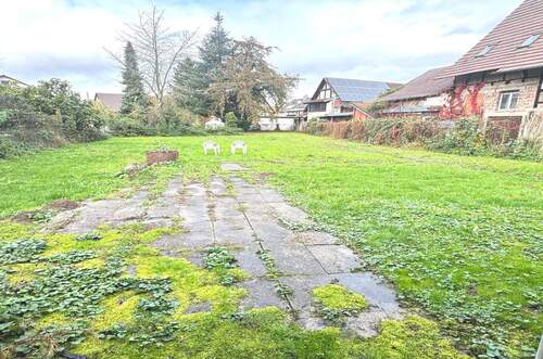 Garten - Mehrfamilienhaus, Wohnhaus zum Kaufen in Rheinau