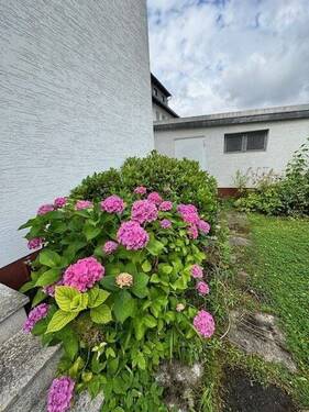 Blumen - 