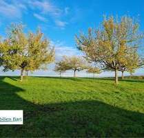 GRENZNÄHE: 5 AR BAUGRUNDSTÜCK IN TOP WOHNLAGE! - Kastel-Staadt