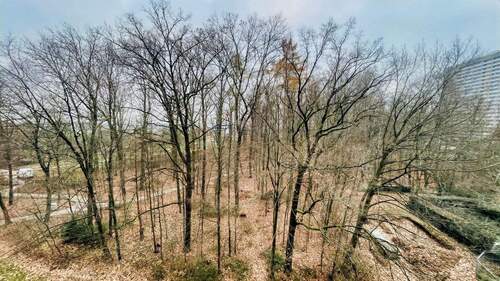 Aussicht grosser Balkon - 3 Zimmer Etagenwohnung zum Kaufen in Stuttgart