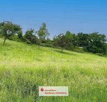 Wohnen im Grünen: 795?m² Baugrundstück in Eberbach - sofort bebaubar!