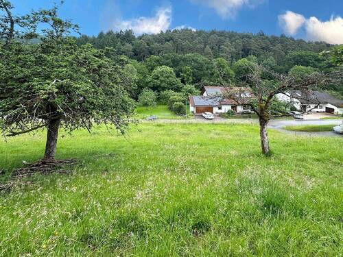 Ansicht - Grundstück in Eberbach