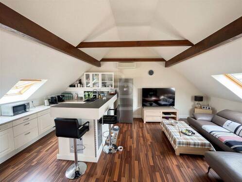 Dachgeschoss-Wohnung - 