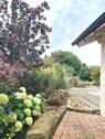Bild 11 - 