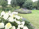 Bild 8 - 
