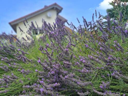 Bild 9 - 