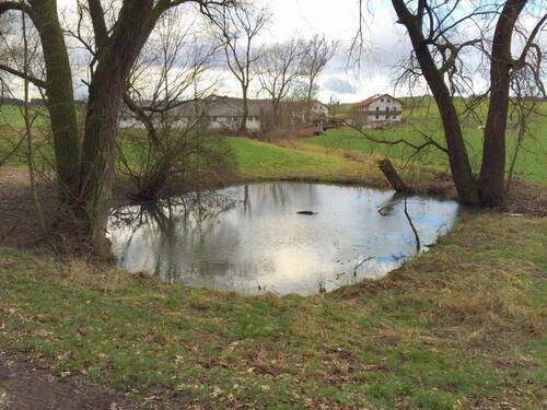 Bild 3 - 3 Zimmer Bauernhaus, Landhaus in Adlkofen